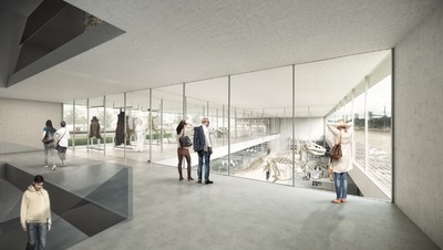 Natural History Museum and State Archives Basel