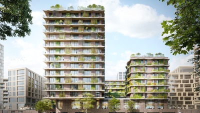 Moringa Baakenhafen Hamburg