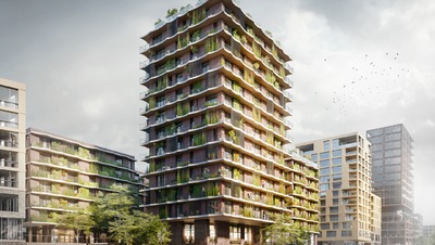 Moringa Baakenhafen Hamburg