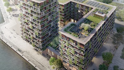 Moringa Baakenhafen Hamburg